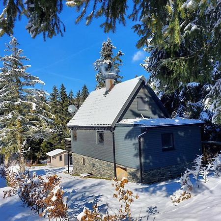 Chata 100 Český Jiřetín Exterior foto