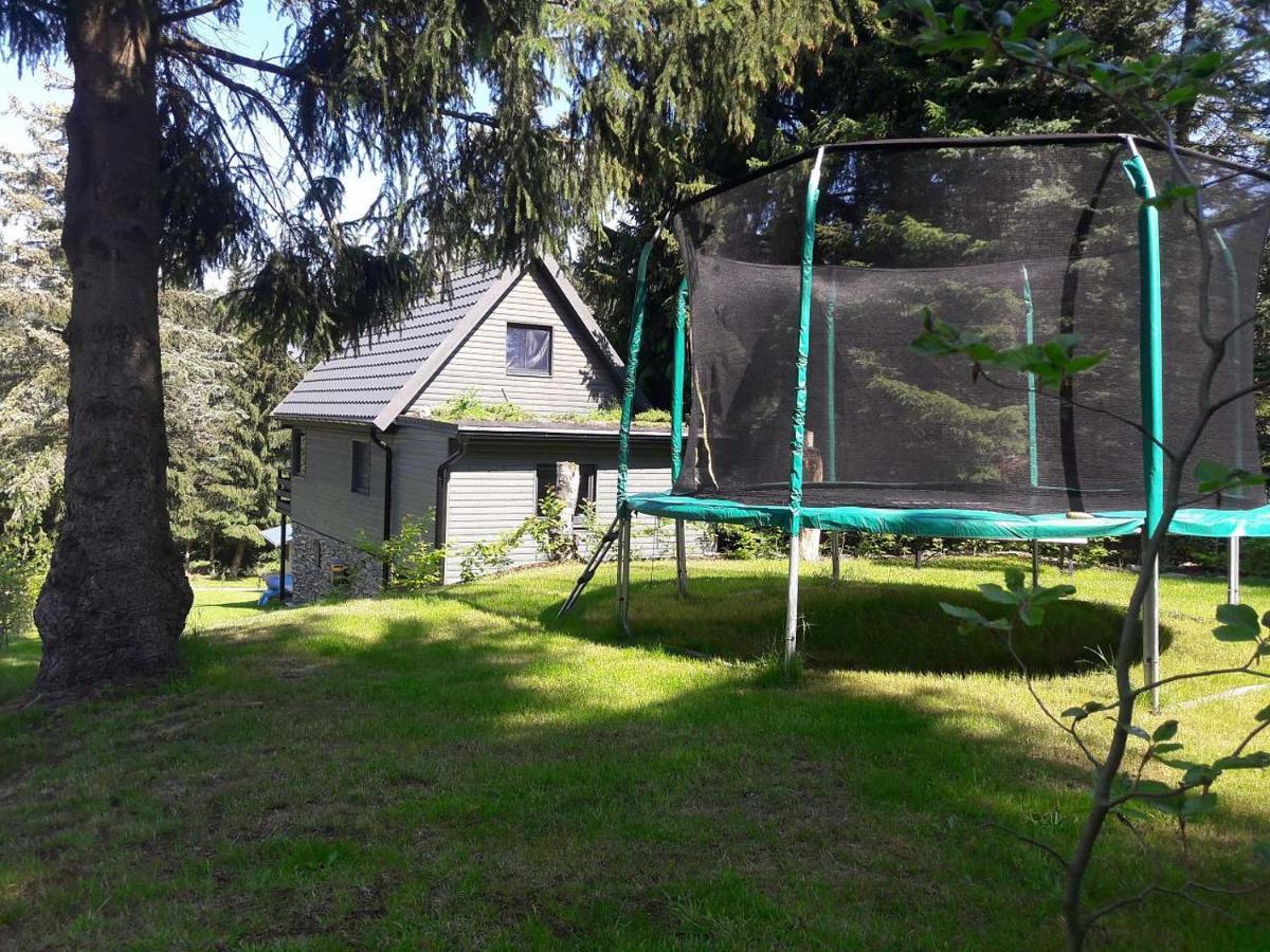 Chata 100 Český Jiřetín Exterior foto
